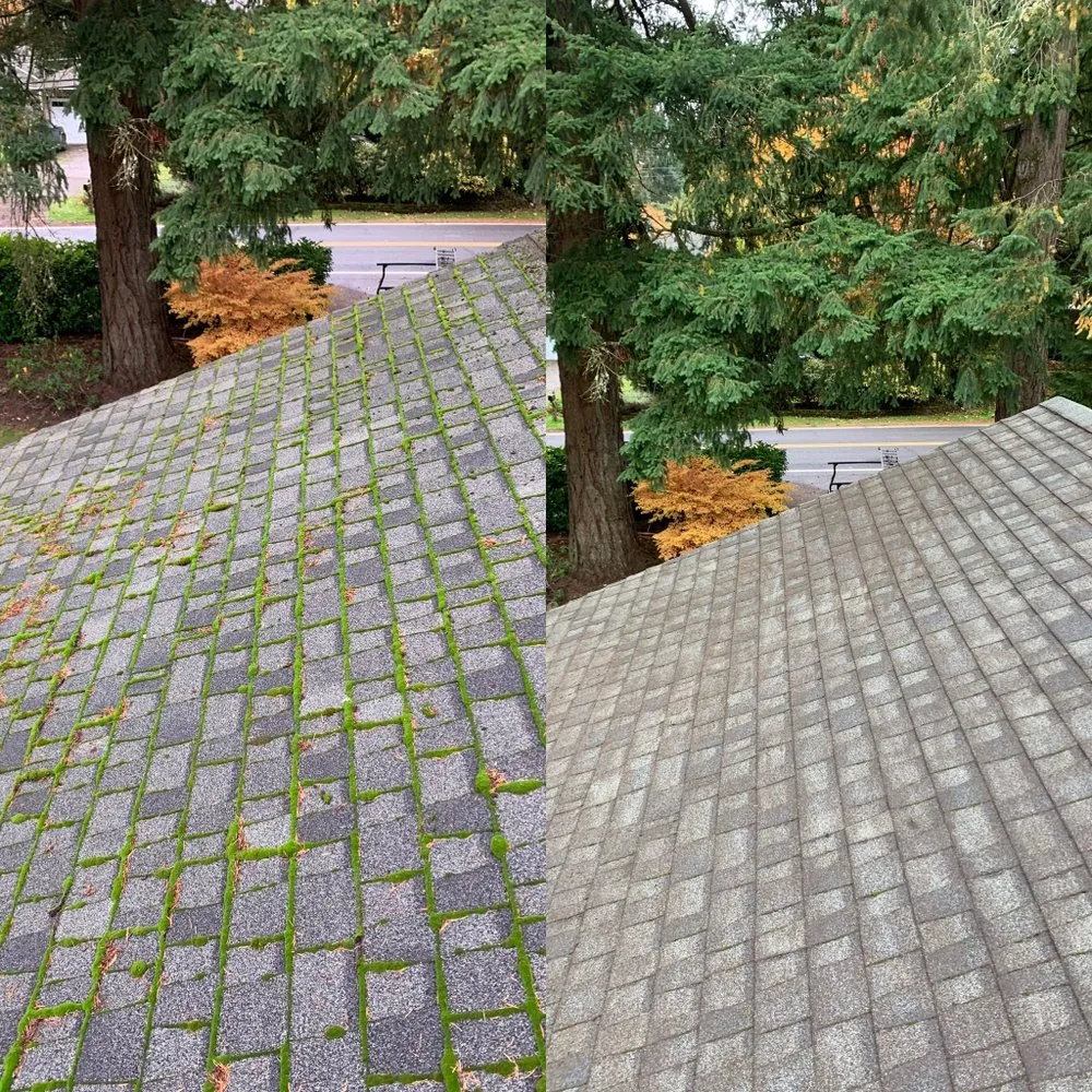 Slide of Vizible Maintenance