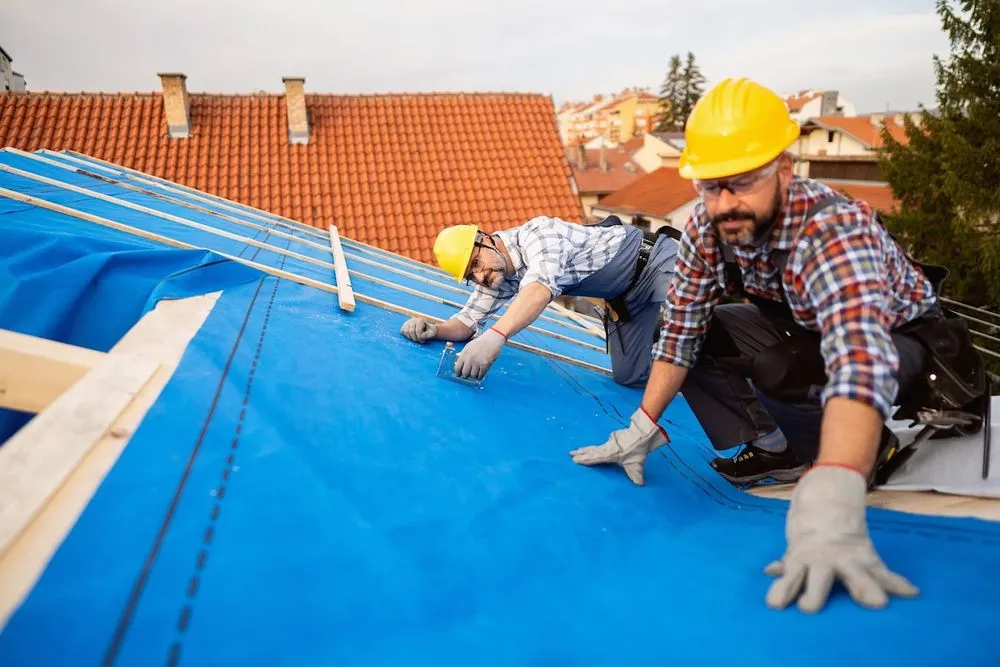 Slide of Voomex Roofs