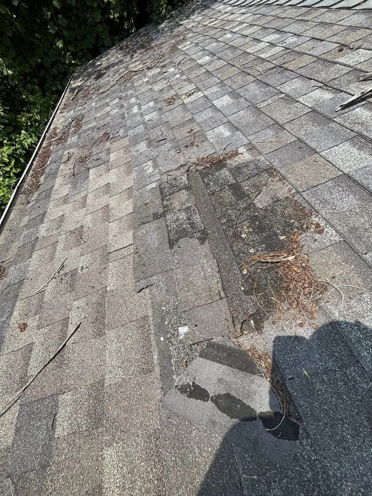 Slide of W D Roofing & Exteriors LLC