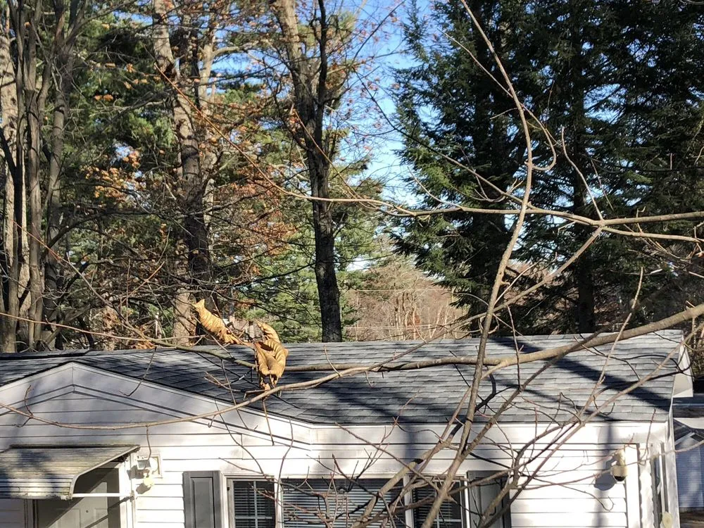 Slide of W Ticos Roofing