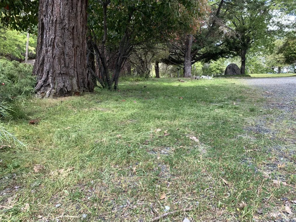 Slide of Wacky Weedeating