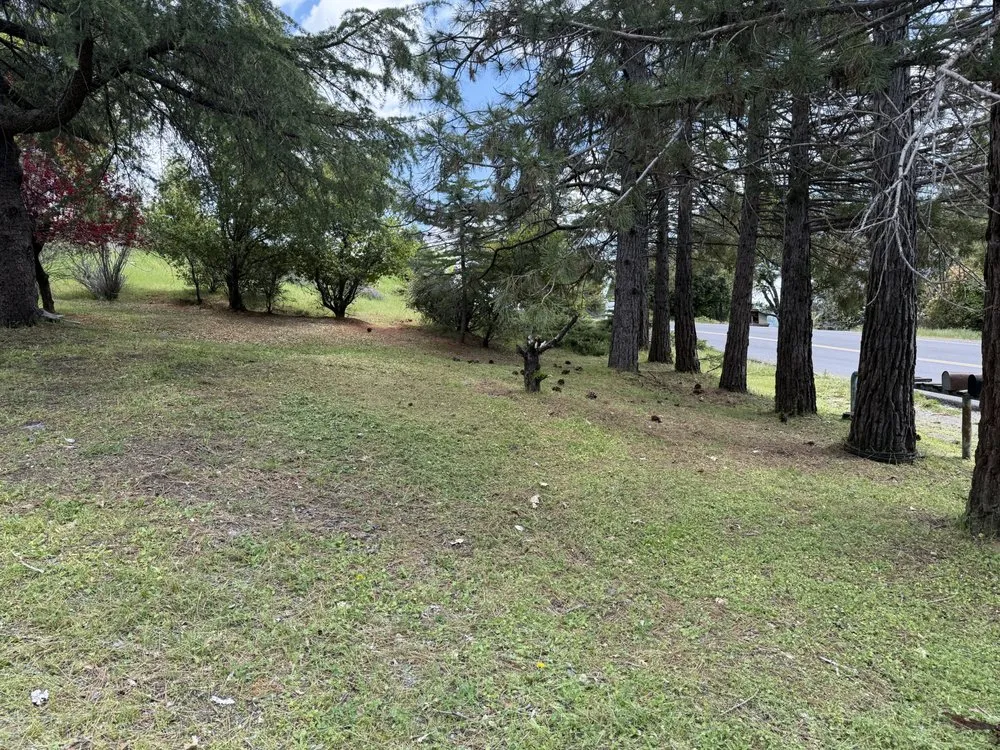 Slide of Wacky Weedeating