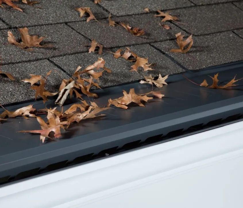 Slide of Waddle Exteriors