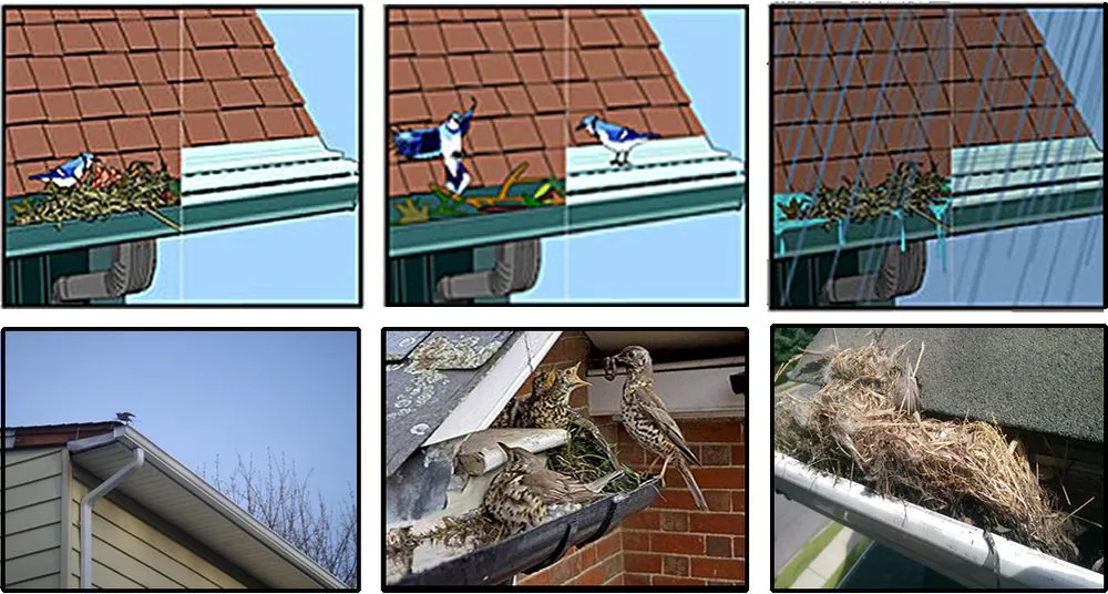 Slide of Waddle Exteriors