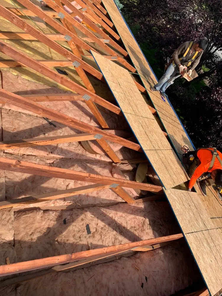 Slide of Wag Roofing