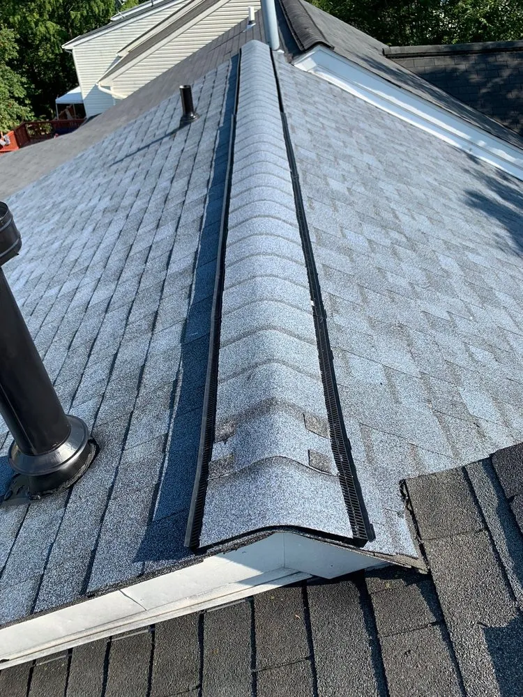 Slide of Wag Roofing