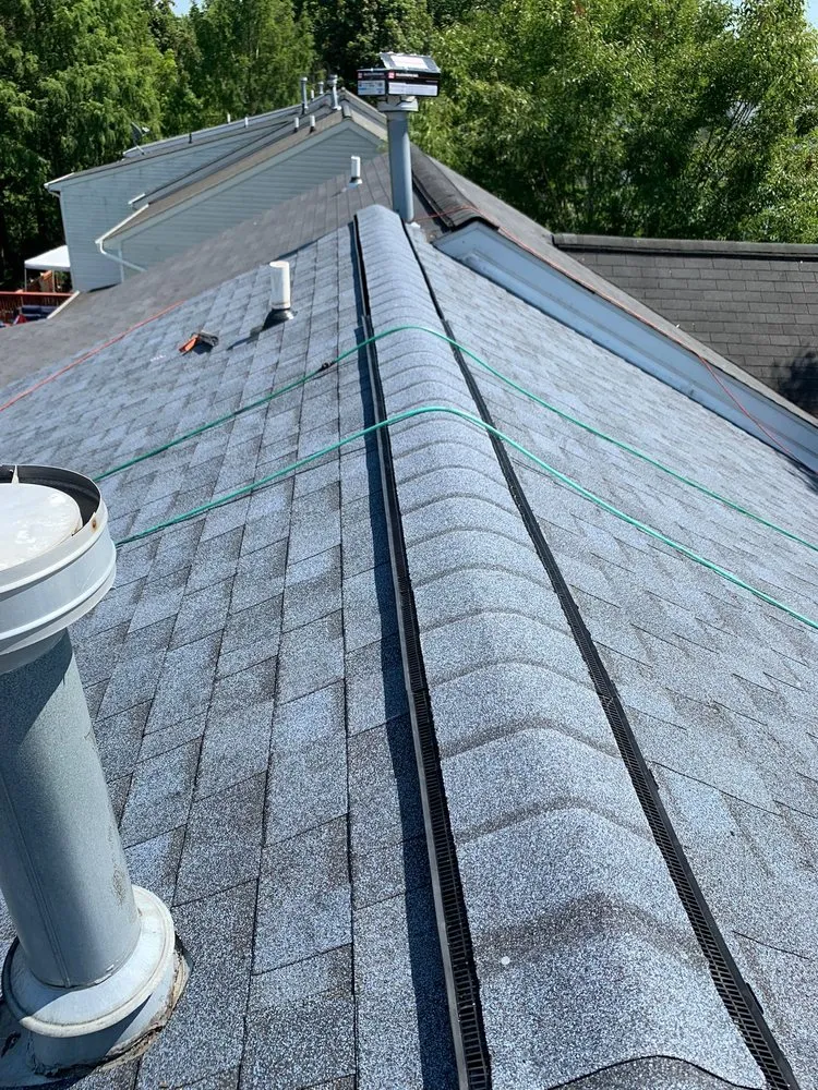 Slide of Wag Roofing