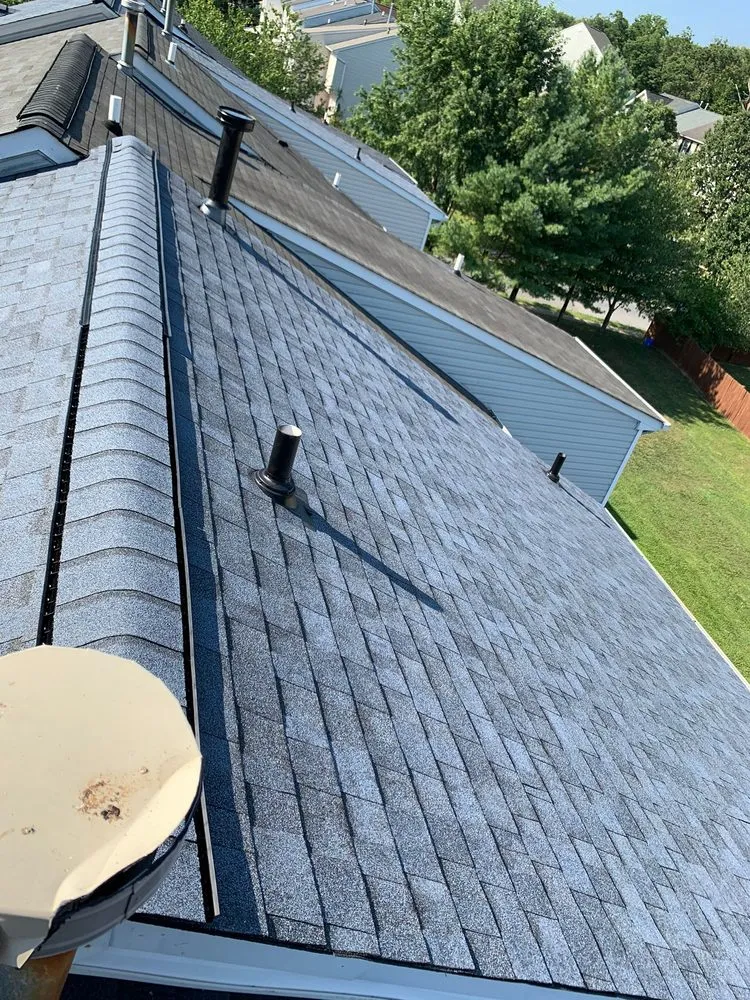 Slide of Wag Roofing