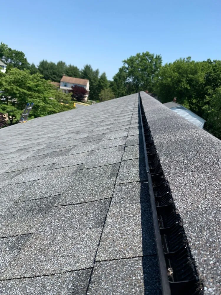 Slide of Wag Roofing