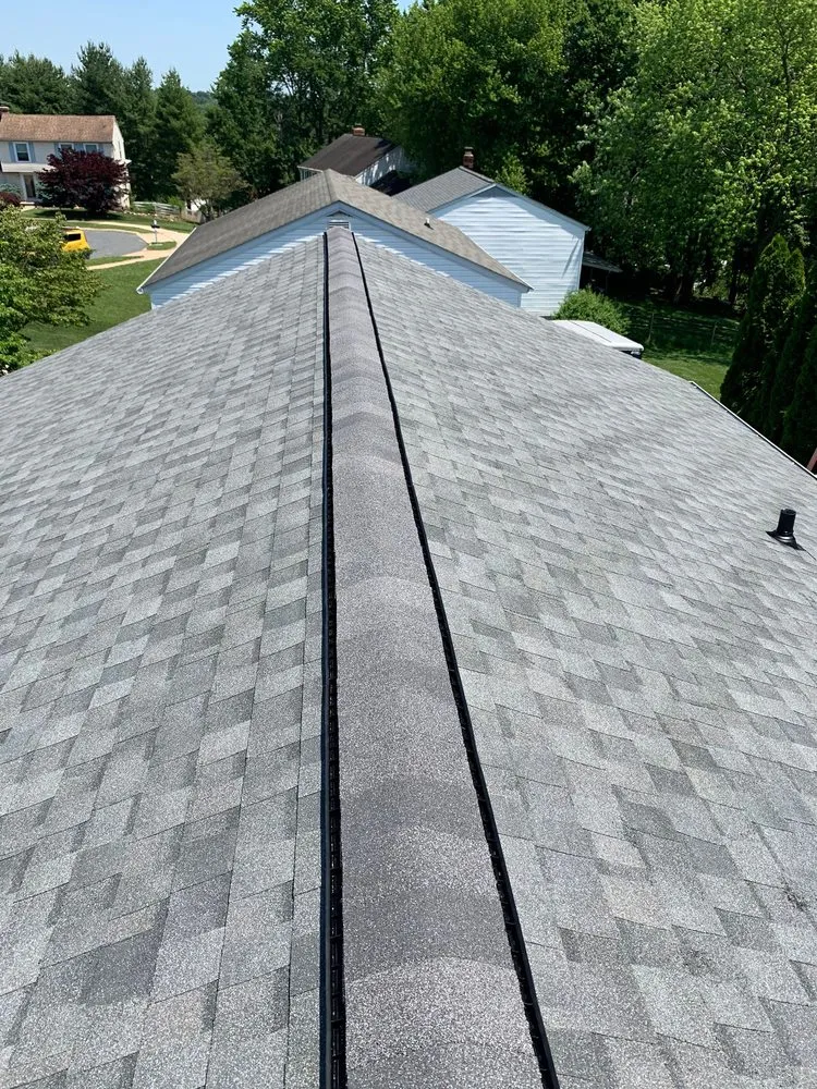 Slide of Wag Roofing