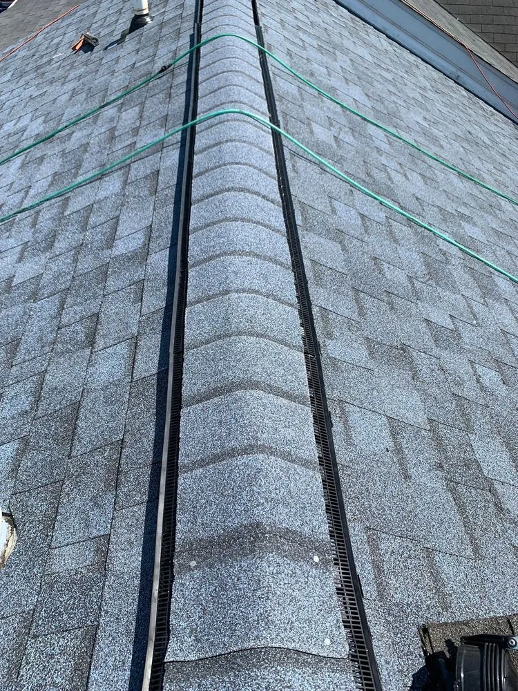 Slide of Wag Roofing