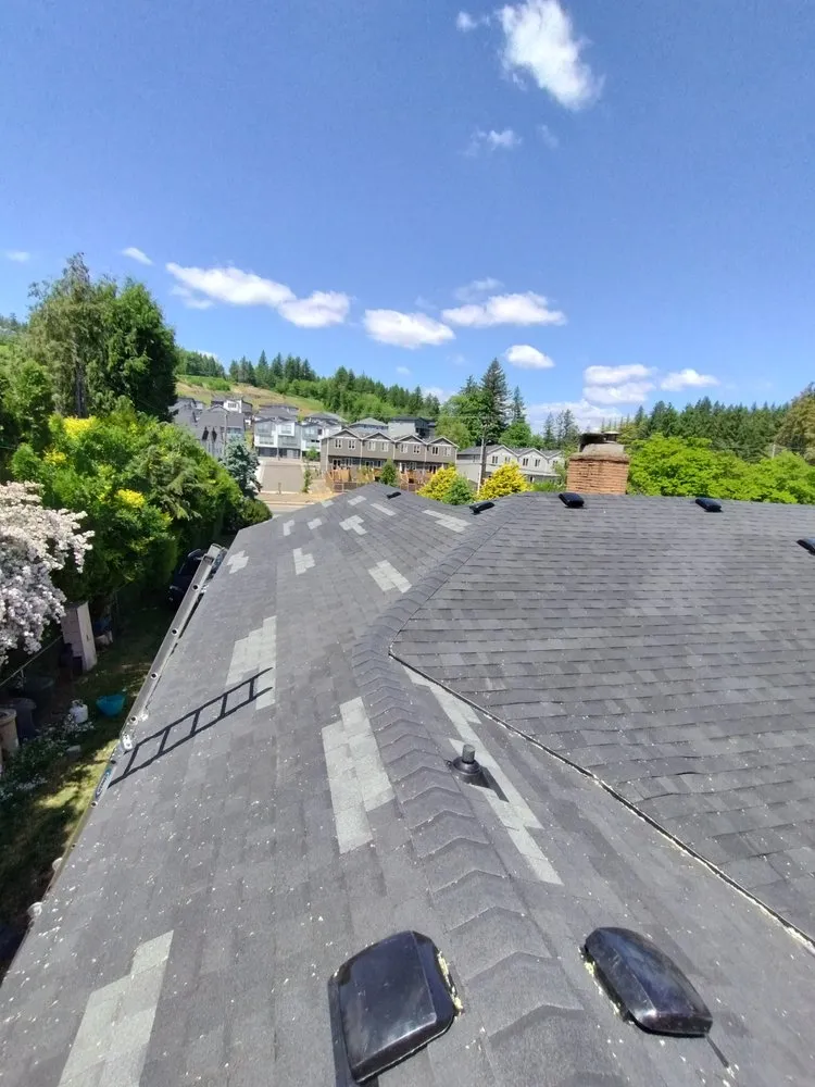 Slide of Waldo's Yard and Home Improvements