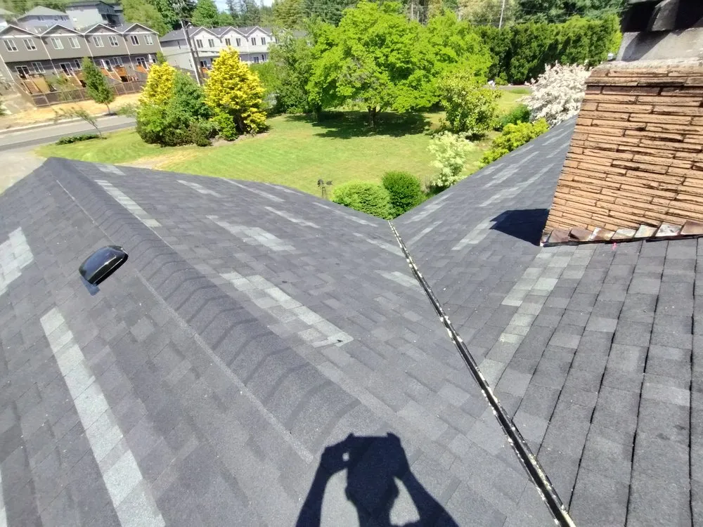 Slide of Waldo's Yard and Home Improvements