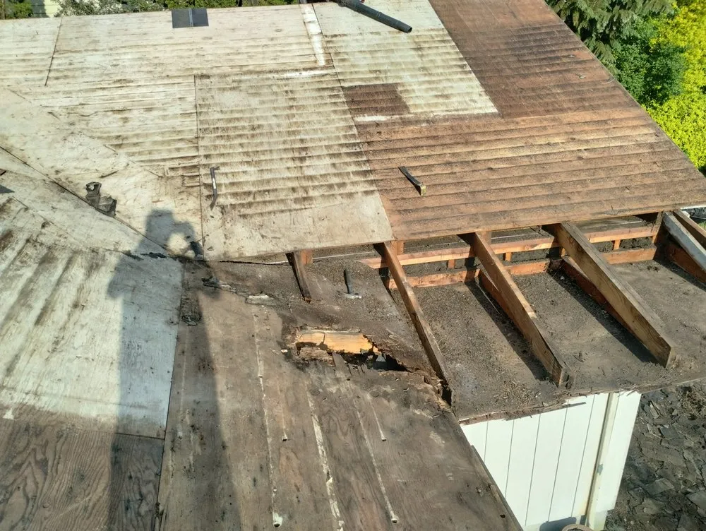 Slide of Waldo's Yard and Home Improvements