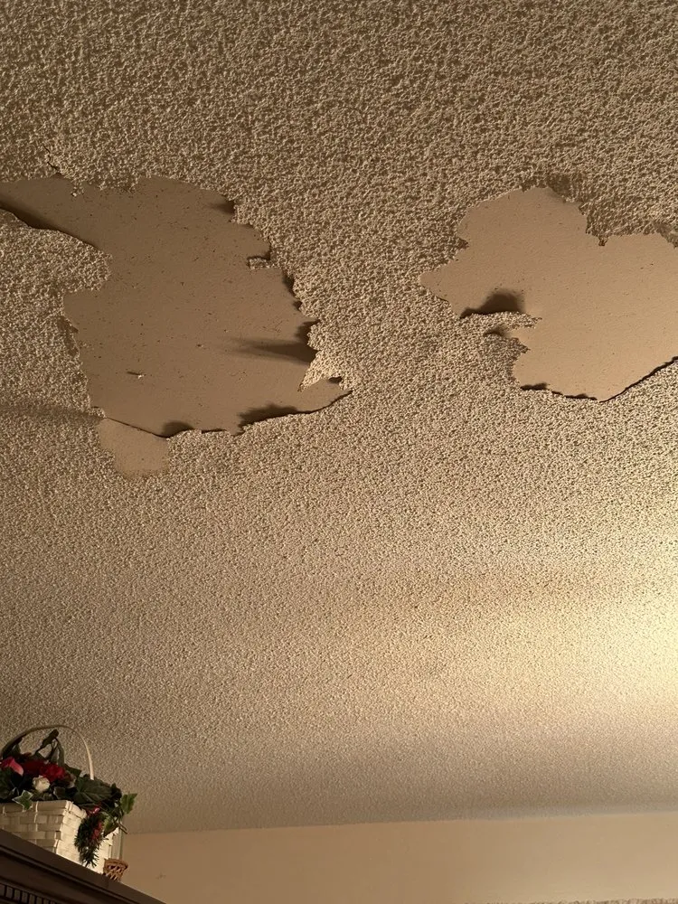 Slide of Wall to wall