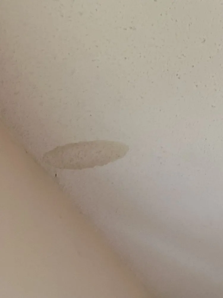 Slide of Wall to wall