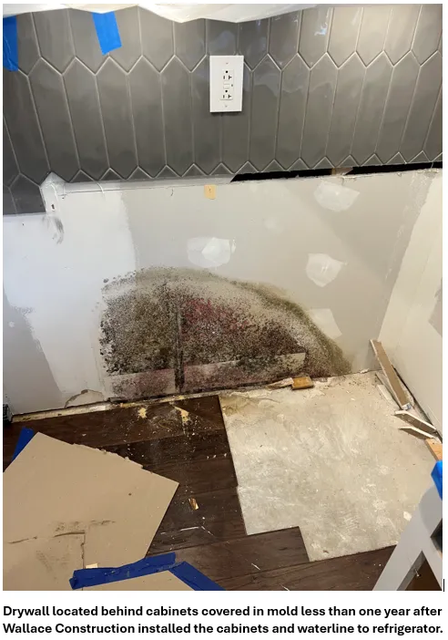 Slide of Wallace Construction Group