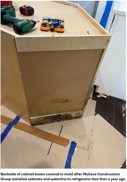 Slide of Wallace Construction Group