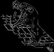 Walter Strauss Roofing