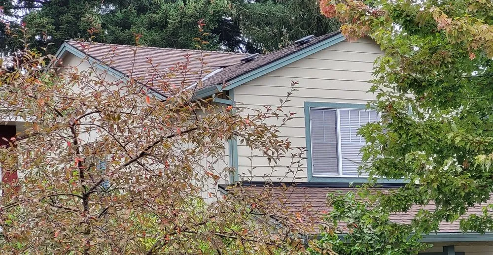 Slide of Warrior Roofing and Construction