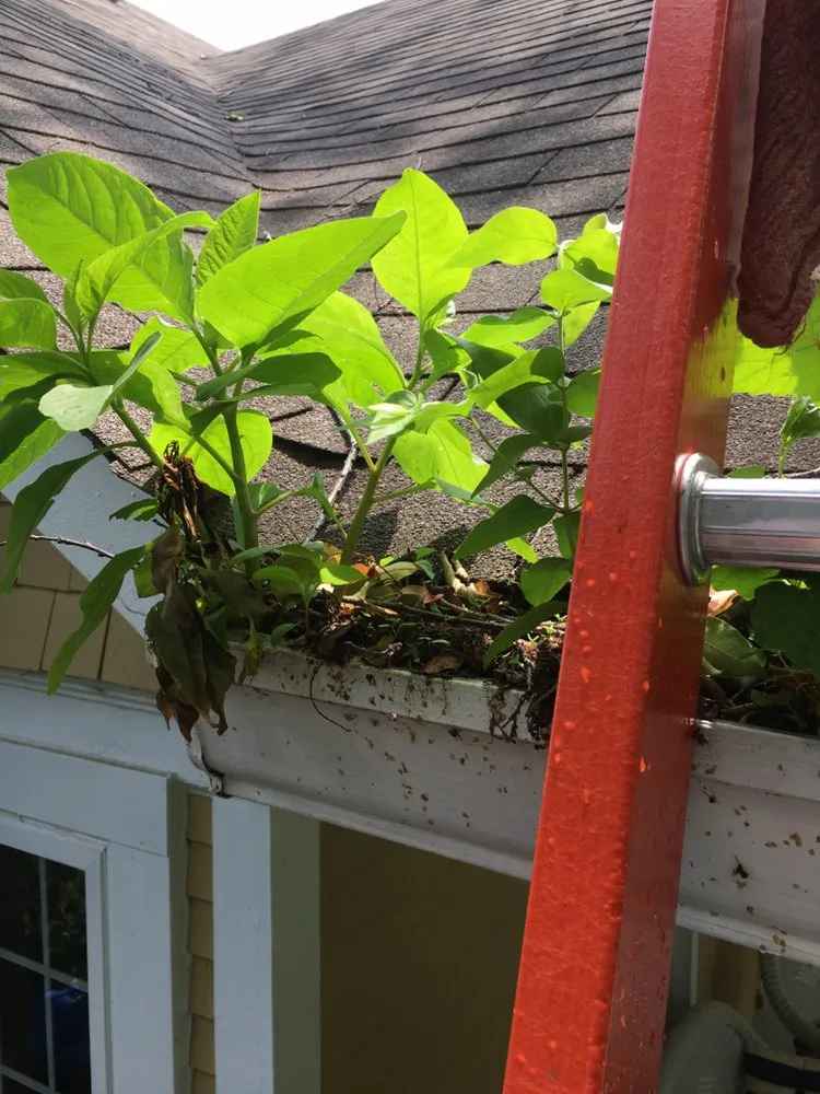 Slide of Washingtonian Companies