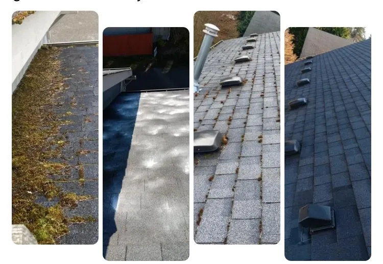 Slide of Washington's Greatest Services