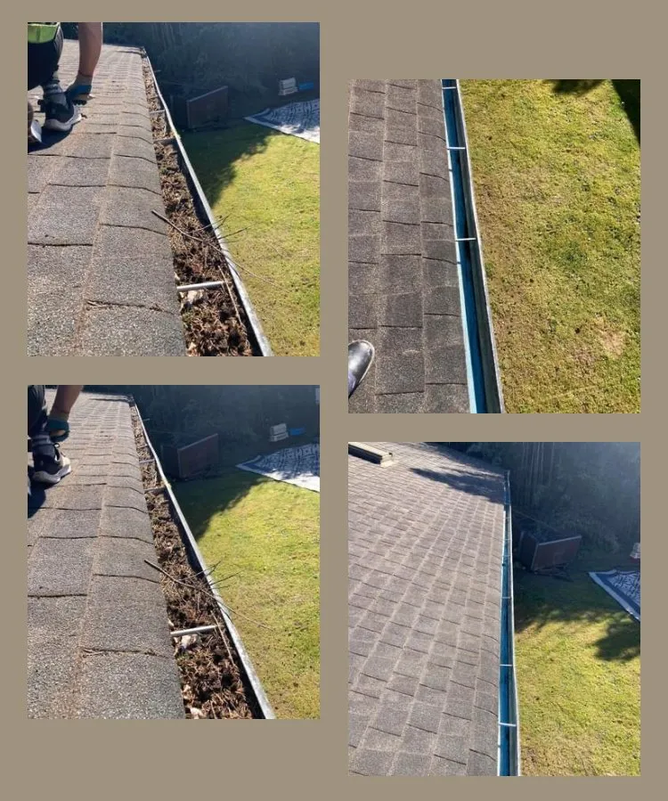 Slide of Washington's Greatest Services