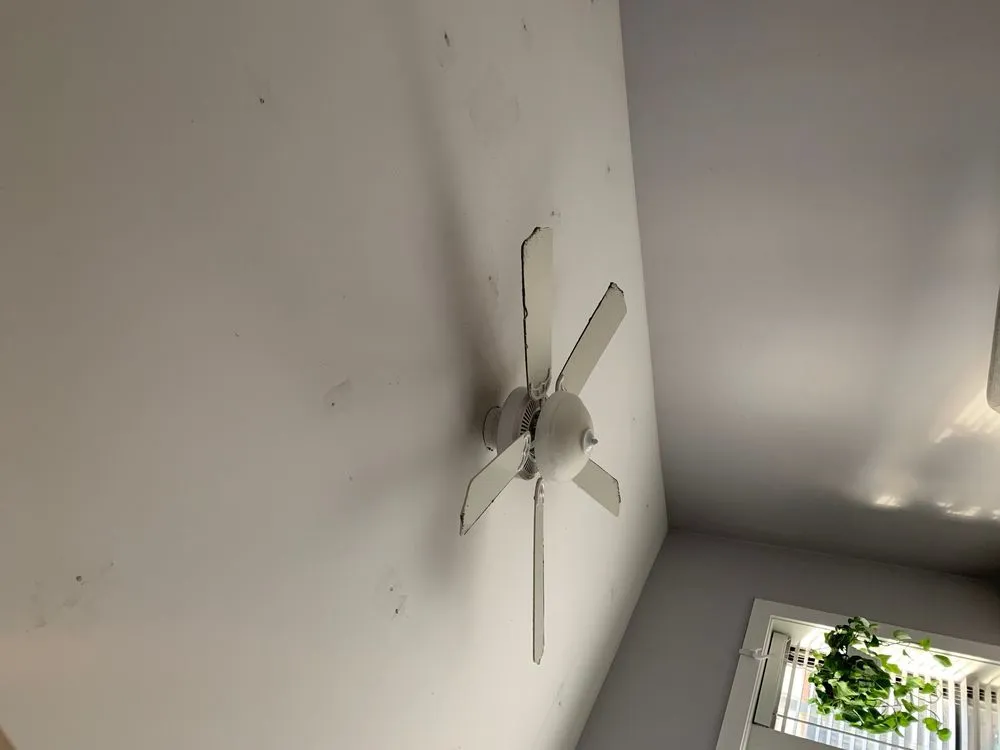 Slide of Wasso Roofing & Construction