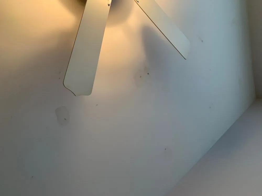 Slide of Wasso Roofing & Construction