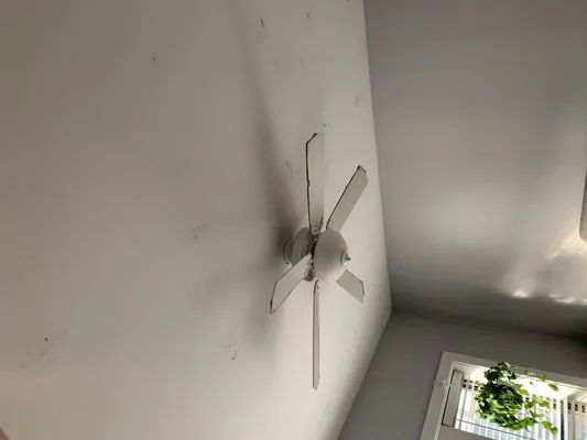 Wasso Roofing & Construction Logo