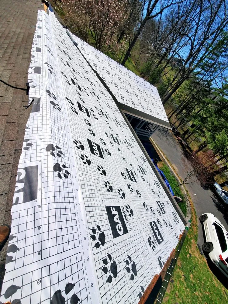 Slide of Water Shield