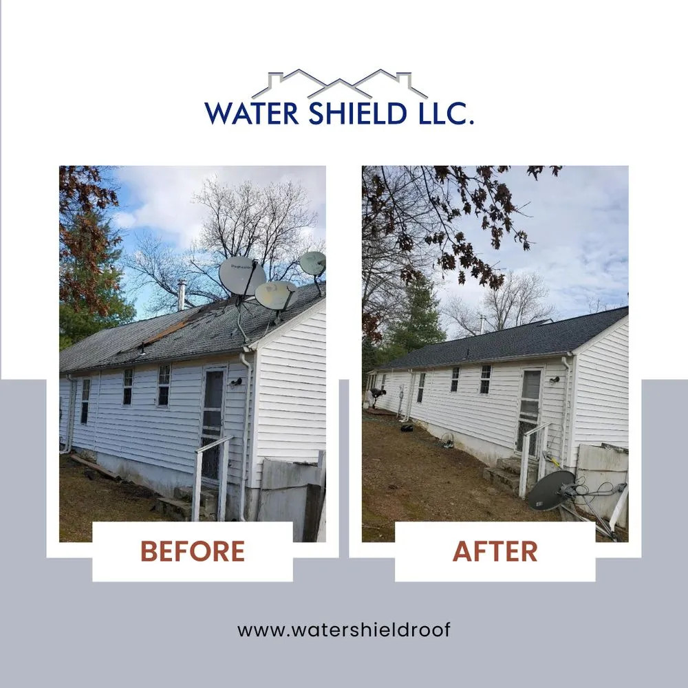 Slide of Water Shield