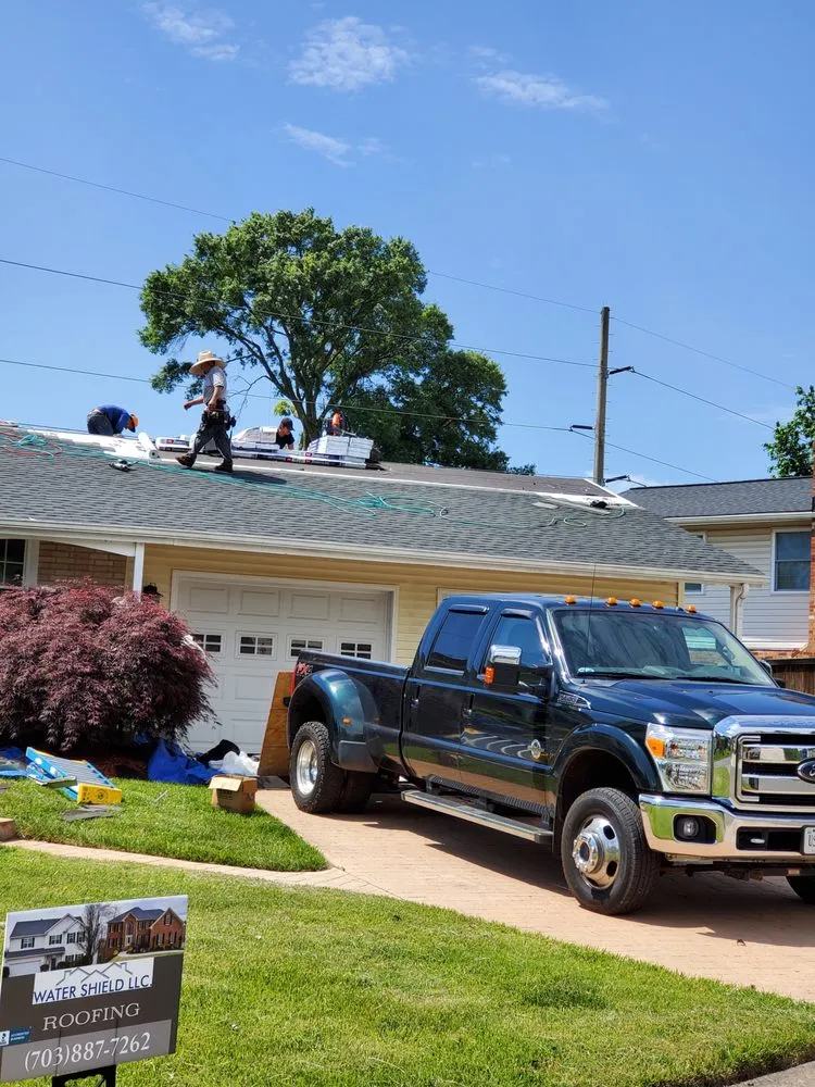 Slide of Water Shield