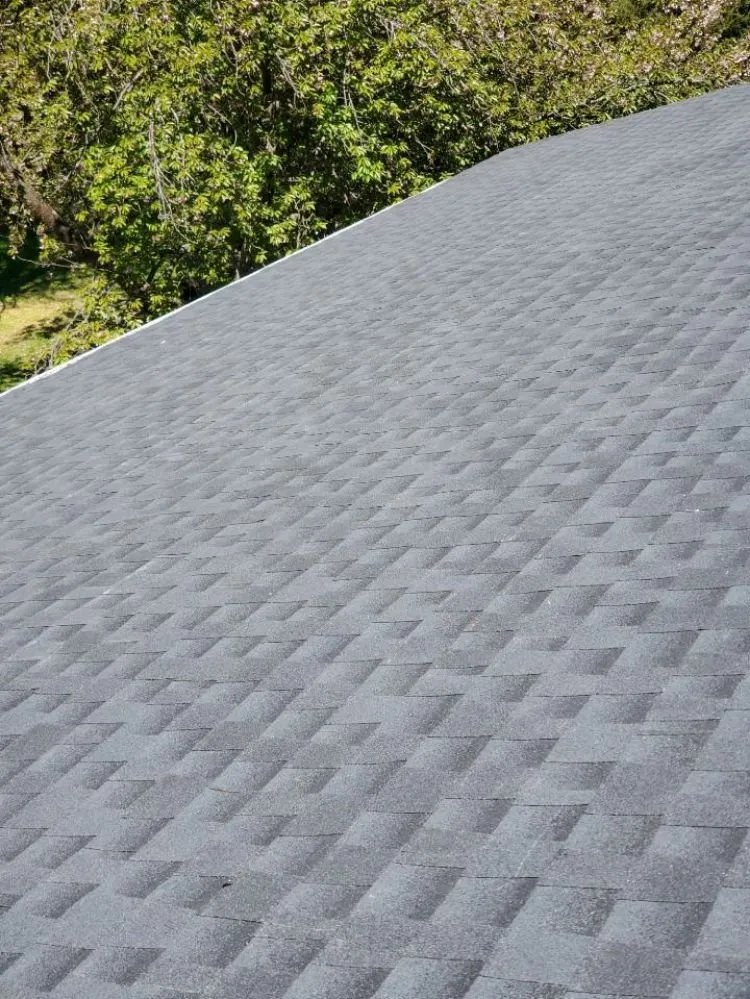 Slide of Water Shield