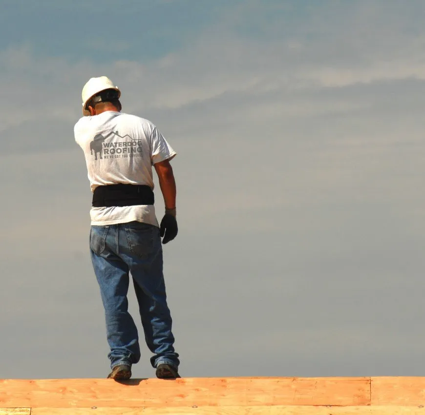 Slide of Waterdog Roofing