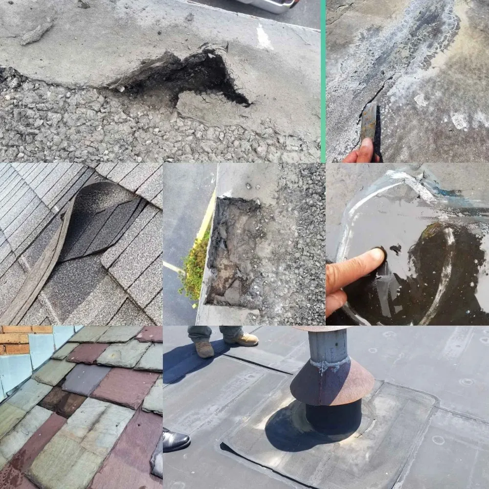 Slide of WaterpRoof Roofing Diagnostics