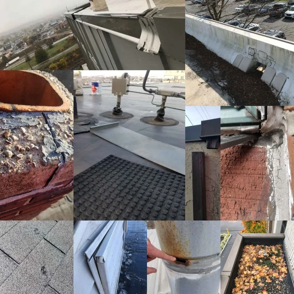 Slide of WaterpRoof Roofing Diagnostics