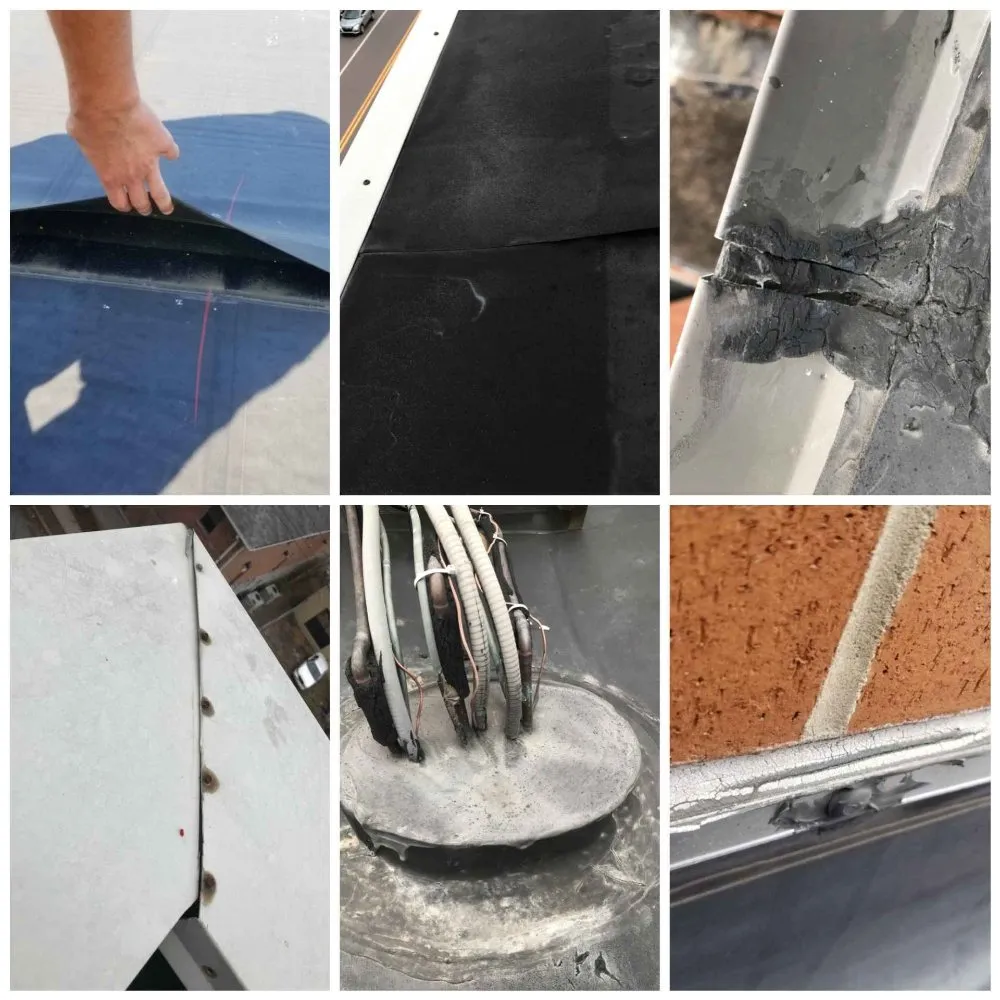 Slide of WaterpRoof Roofing Diagnostics