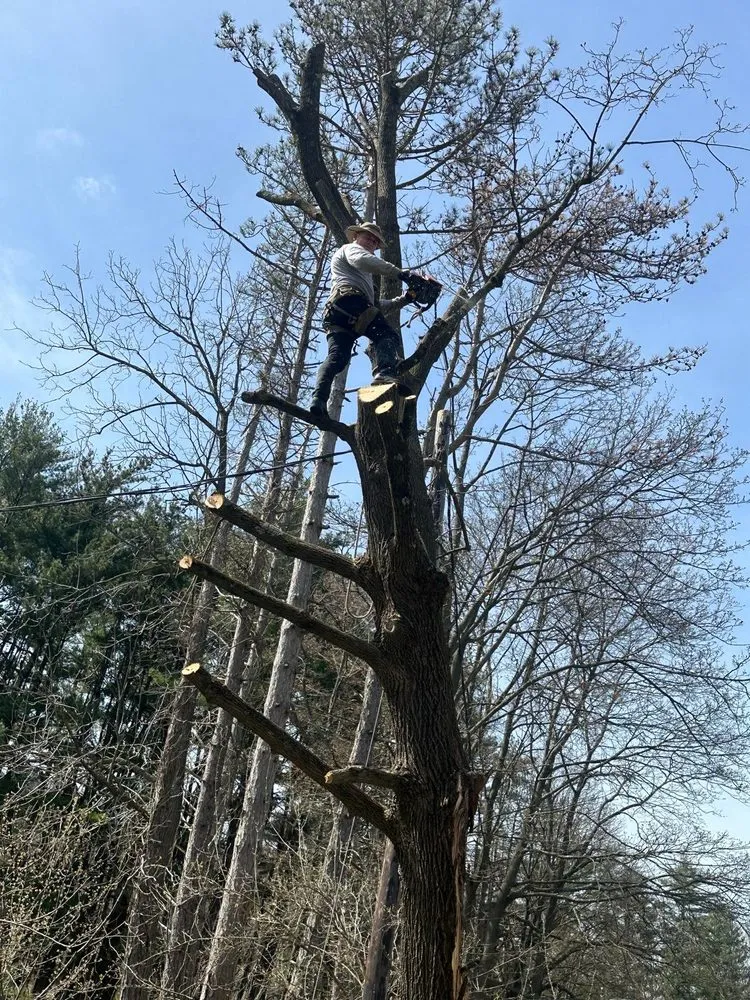 Slide of Watertide Construction and Roofing