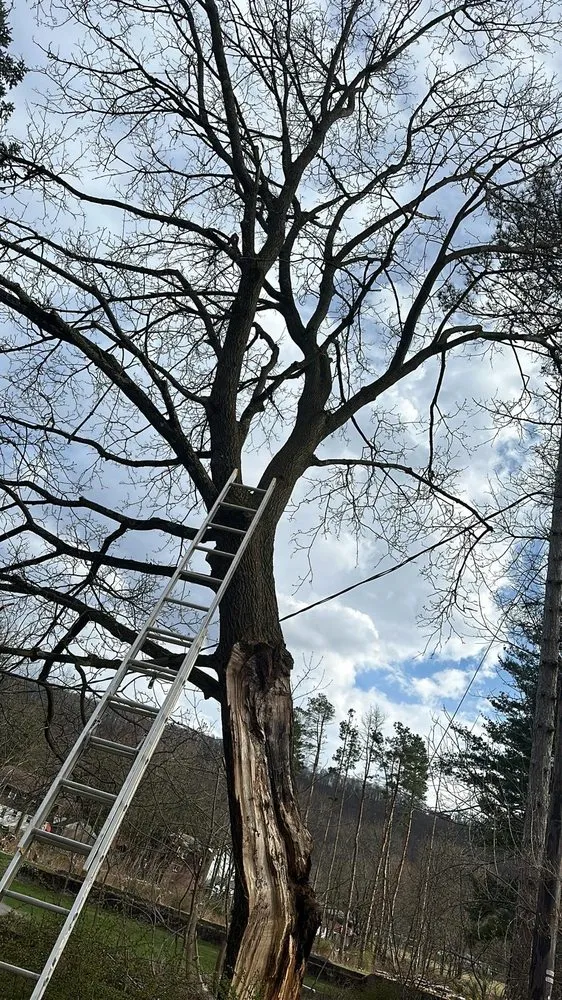 Slide of Watertide Construction and Roofing
