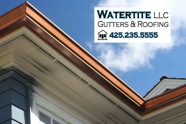 Watertite Gutters Logo