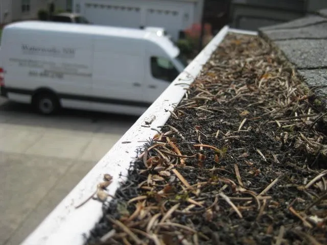 Slide of Waterworks NW, LLC