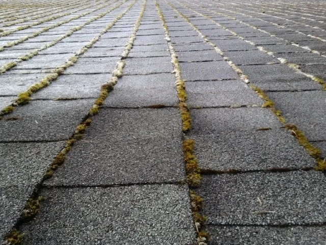 Slide of Waterworks NW, LLC