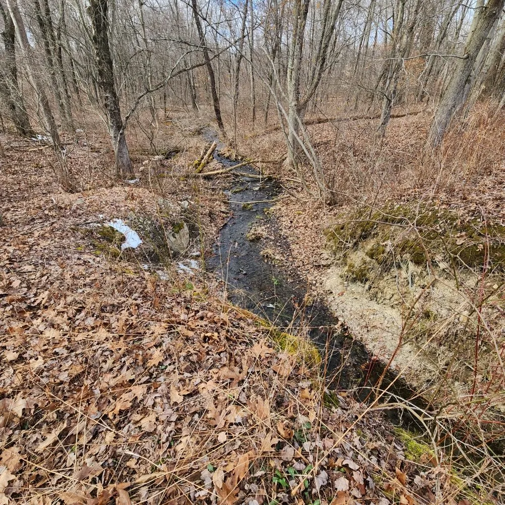 Slide of Watson Custom Homes and Excavation