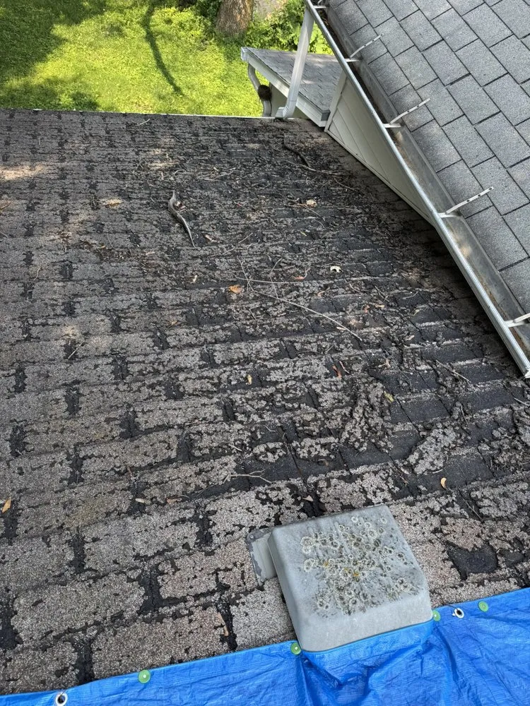 Local roof inspection for homes in Rolfe, IA by Way 2 be