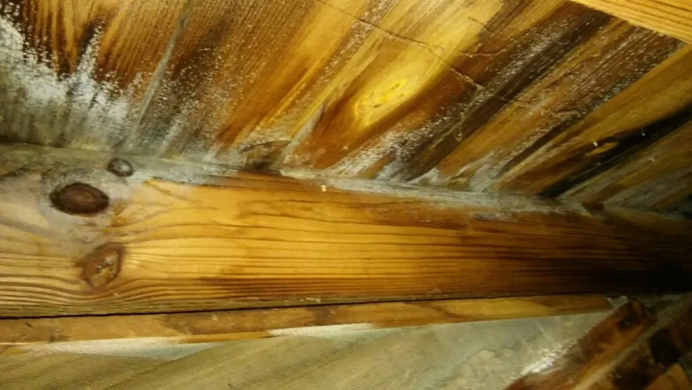 Slide of Waynco Roofing