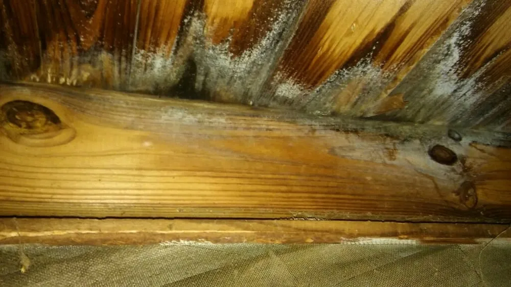 Slide of Waynco Roofing