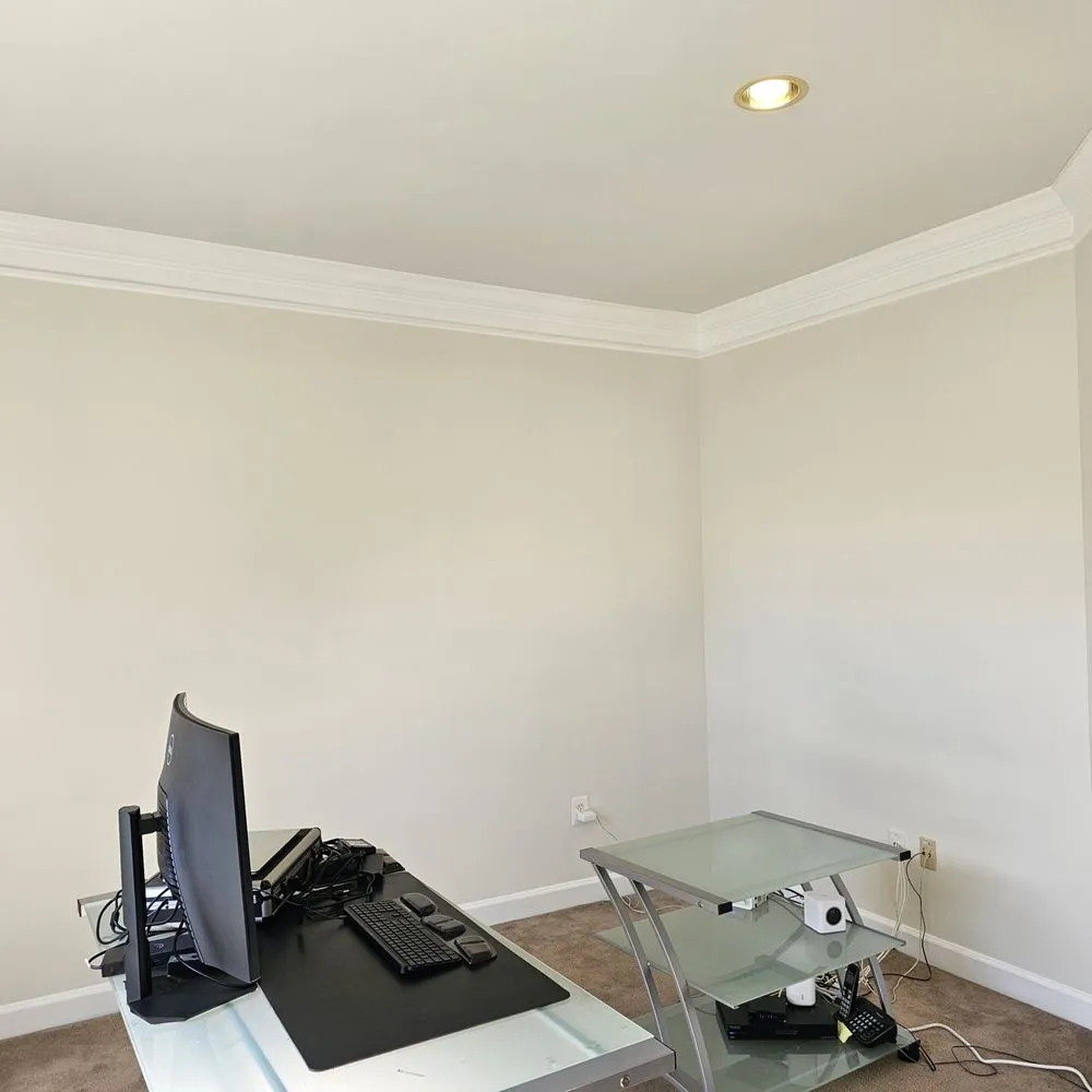 Slide of Wayne's Painting