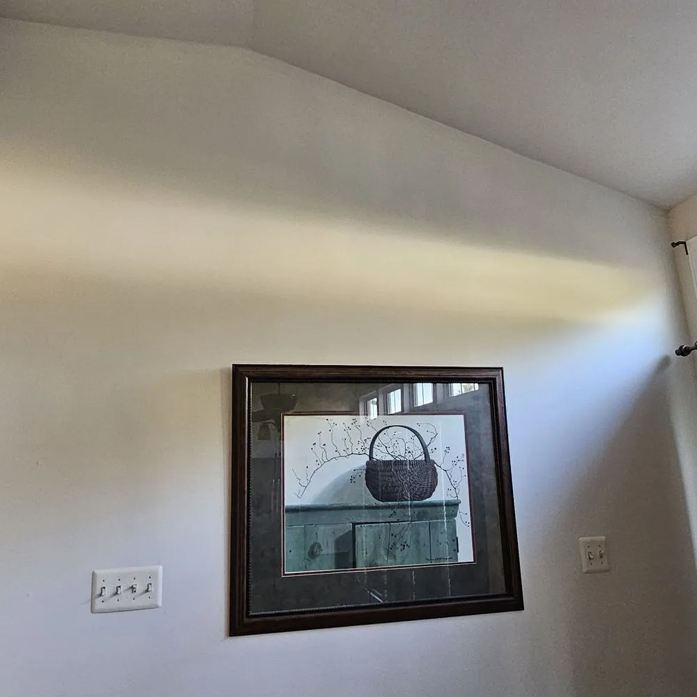 Slide of Wayne's Painting