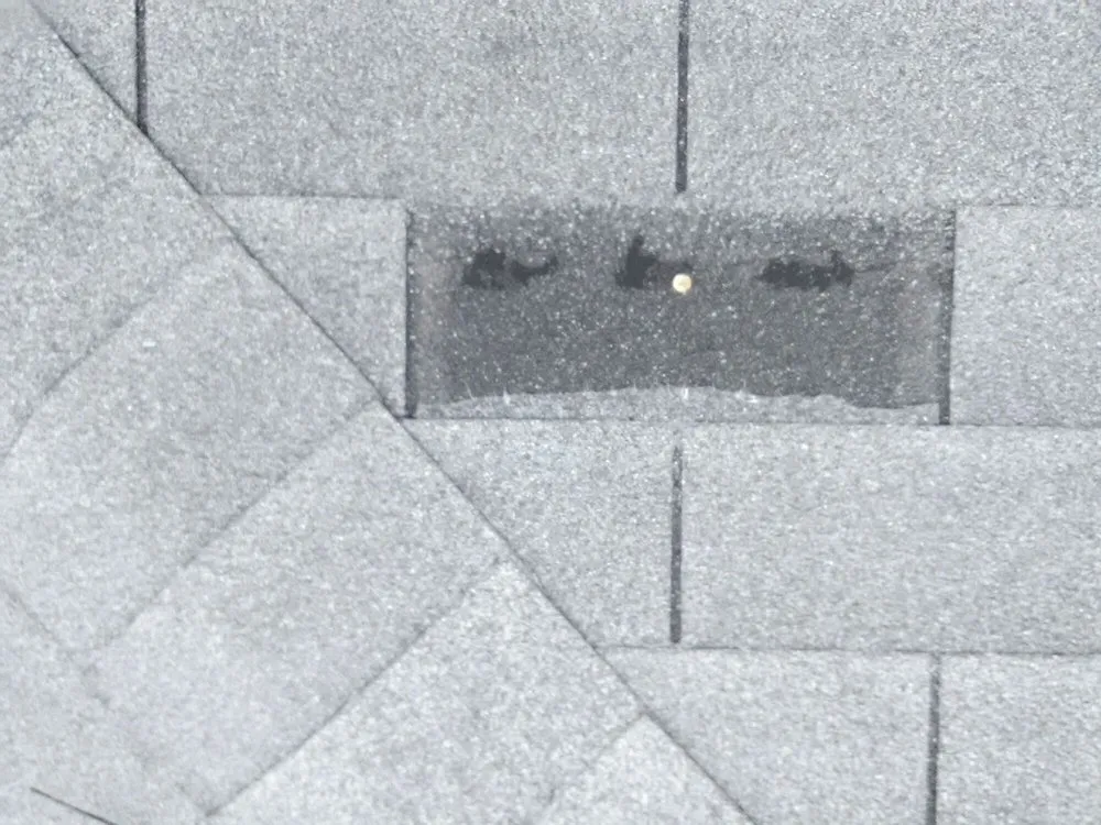 Slide of Wayne's Professional New Roofs